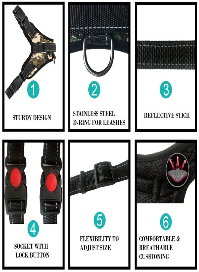 KittuPet حزام صدر للكلاب من KittuPet، حزام قابل للتعديل للكلاب الكبيرة والصغيرة والمتوسطة الحجم والقطط والأرانب وجميع سلالات الحيوانات (متوسط، جيش) - Image 2